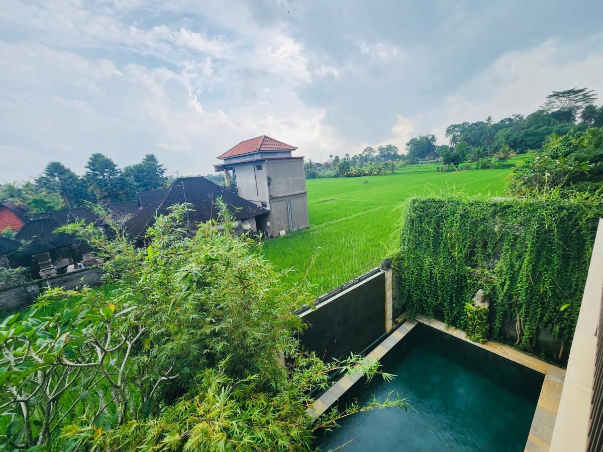 Uma Padi Villa Ubud Exteriér fotografie
