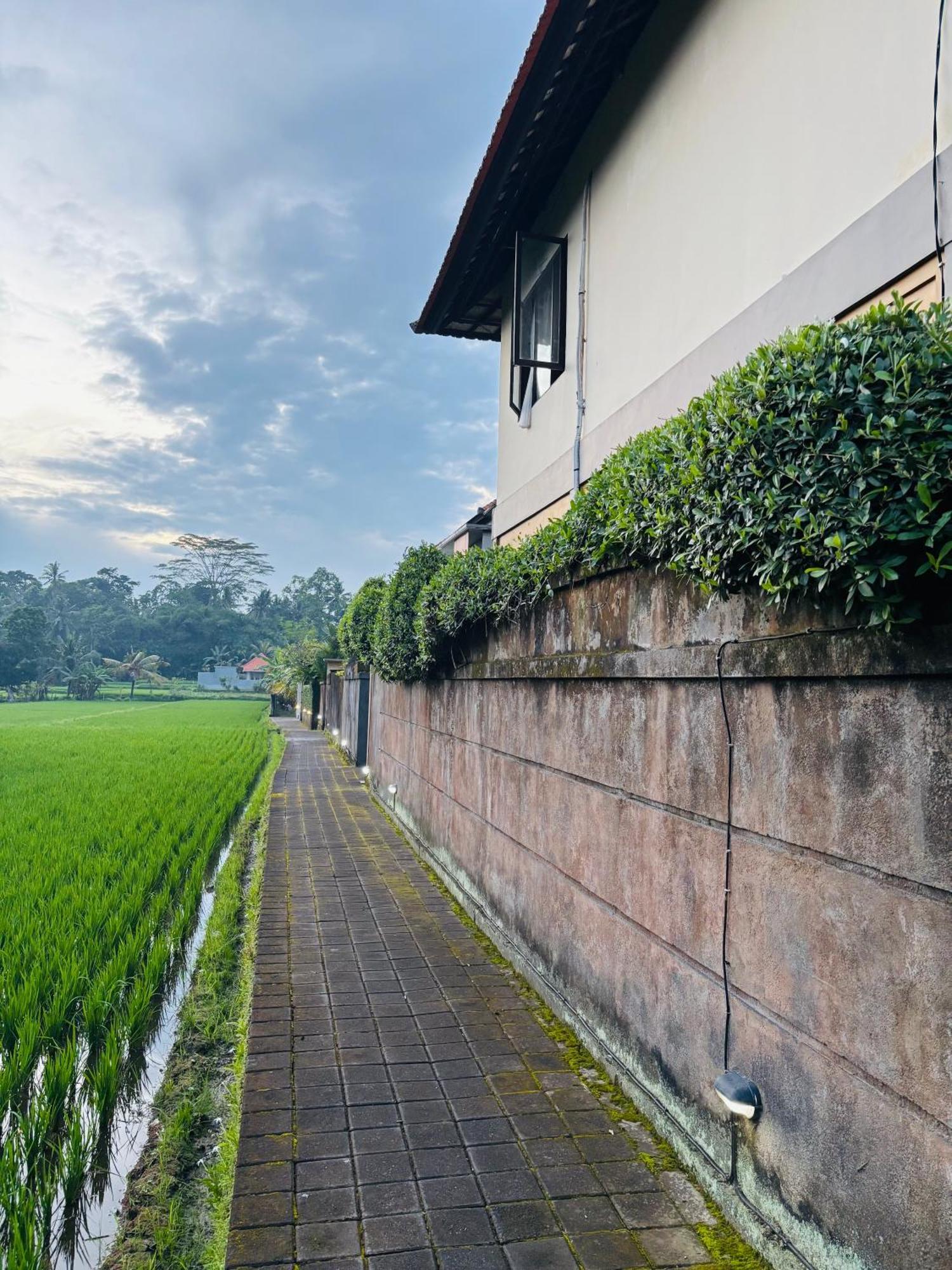 Uma Padi Villa Ubud Exteriér fotografie