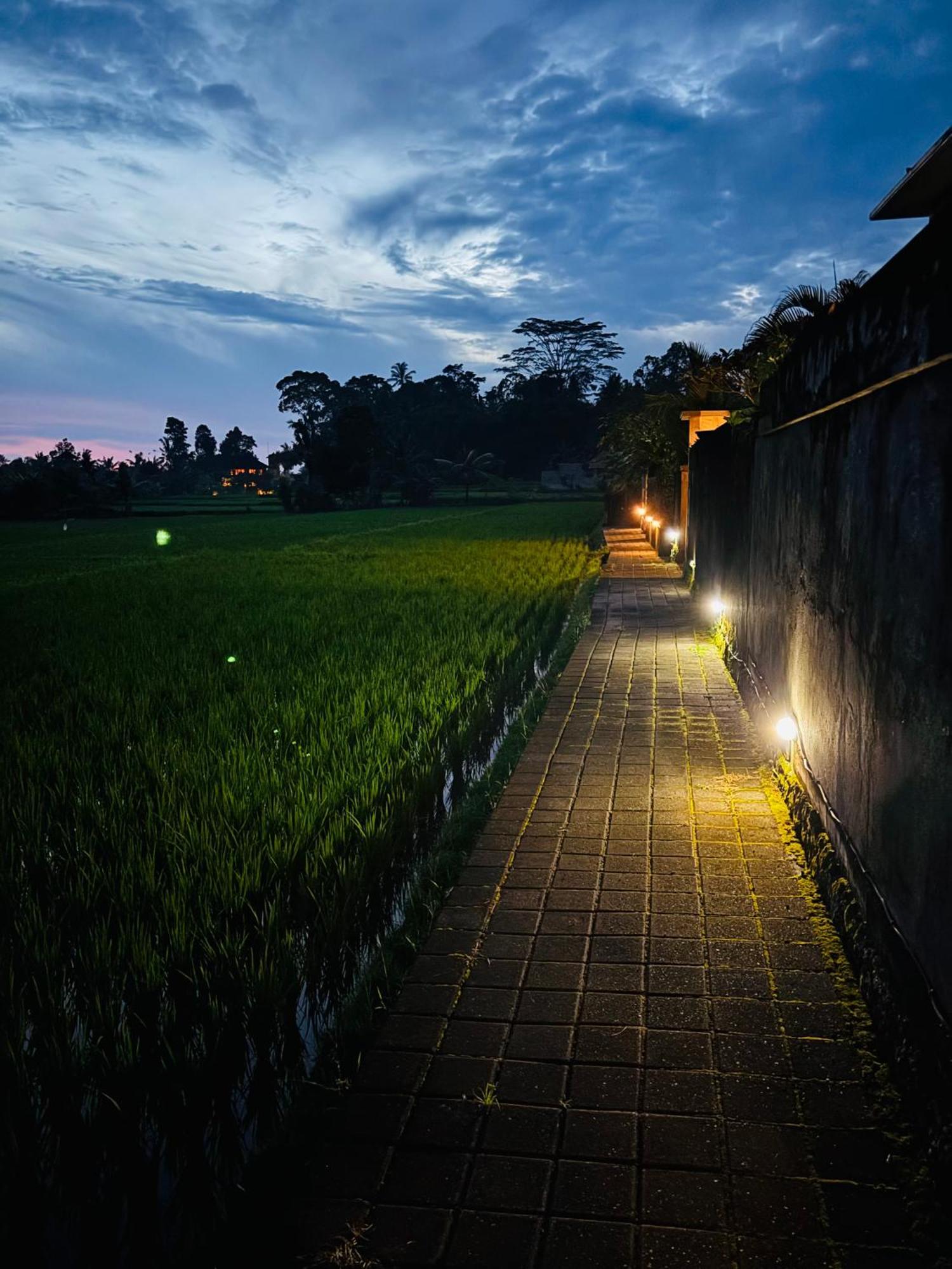 Uma Padi Villa Ubud Exteriér fotografie