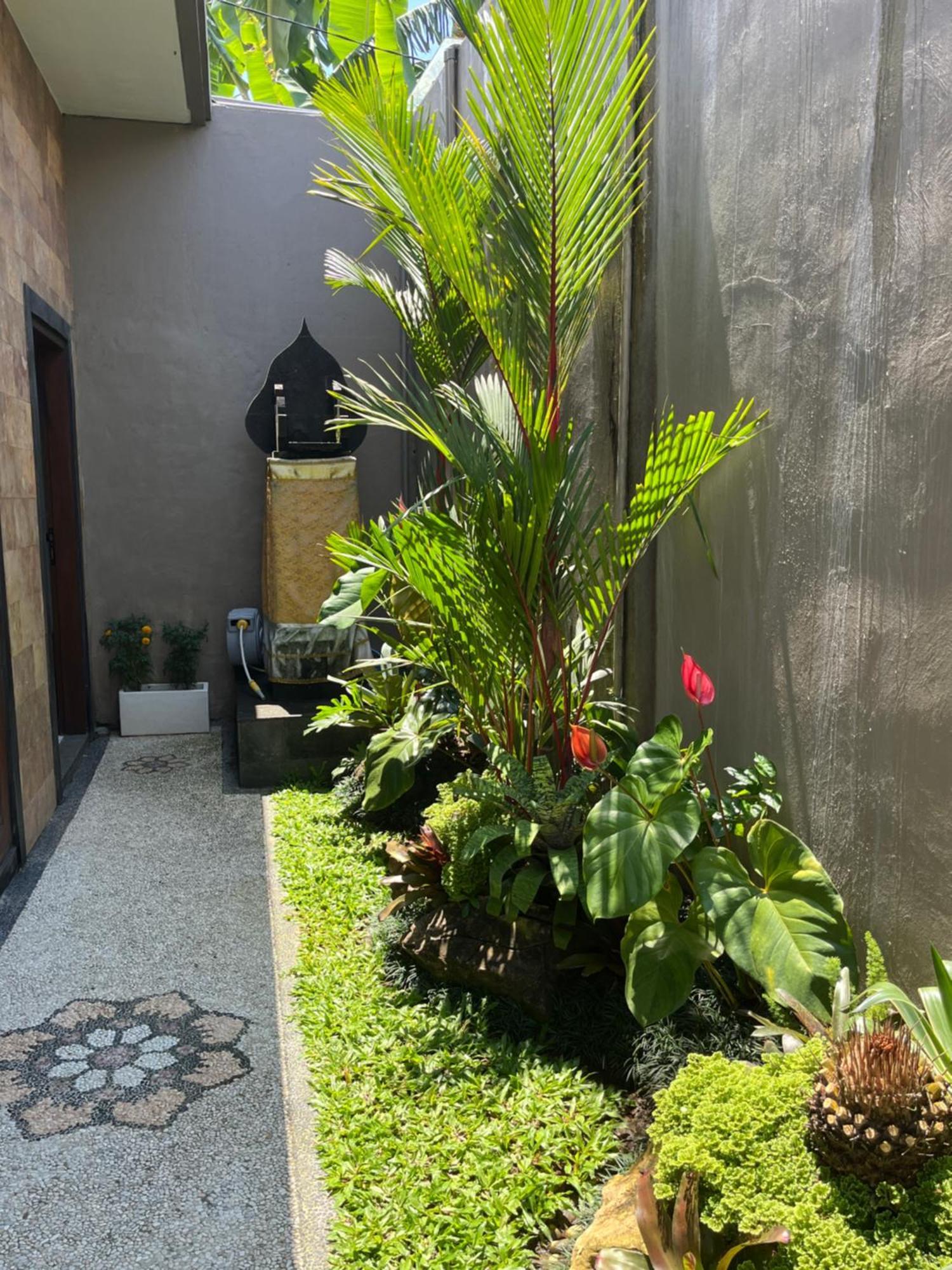 Uma Padi Villa Ubud Exteriér fotografie