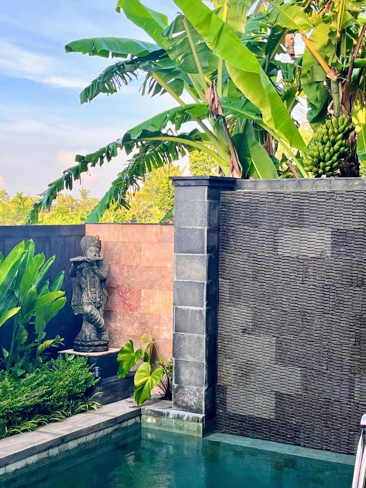 Uma Padi Villa Ubud Exteriér fotografie