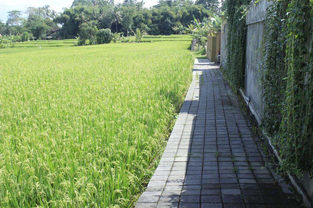 Uma Padi Villa Ubud Exteriér fotografie